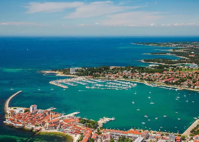 Nika-10 By Interhome Lejlighed *